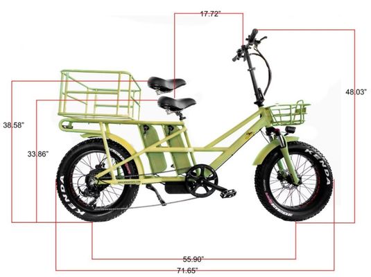 48V elektrische dubbele motor 1000 Watt Long Range Fat Tire Cargo E-Bike met snel opladen