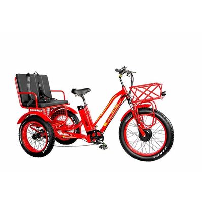 48V elektrische dubbele motor 1000 Watt Long Range Fat Tire Cargo E-Bike met snel opladen