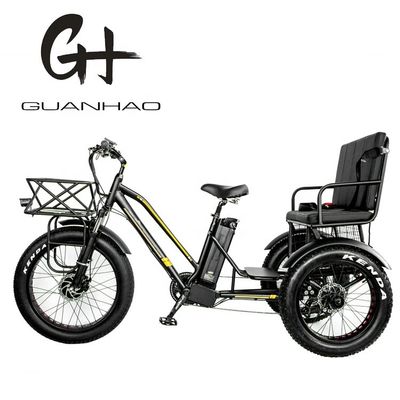 Down Tube 48V 750W 17AH Lithiumbatterij 45KM/H bafang Voormotor Elektrische Passagiers driewieler
