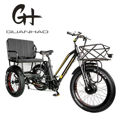 Down Tube 48V 750W 17AH Lithiumbatterij 45KM/H bafang Voormotor Elektrische Passagiers driewieler
