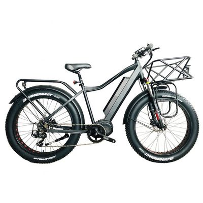 Amerikaanse markt EN15194 CPSC 48V 1000W 17AH Elektrische bergfiets met Bafang Middenmotor