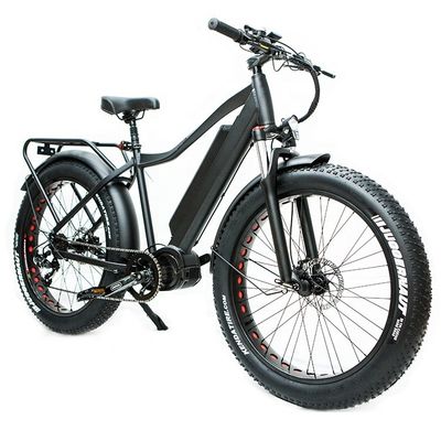 Amerikaanse markt EN15194 CPSC 48V 1000W 17AH Elektrische bergfiets met Bafang Middenmotor