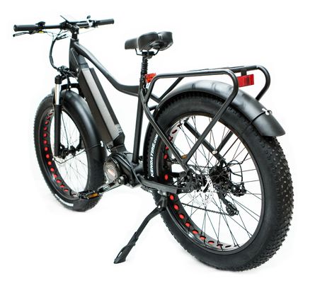 Amerikaanse markt EN15194 CPSC 48V 1000W 17AH Elektrische bergfiets met Bafang Middenmotor
