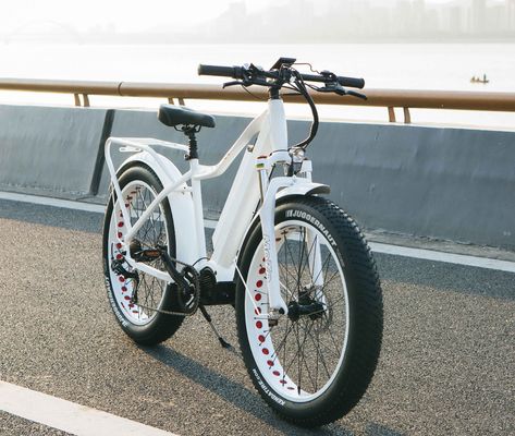 Amerikaanse markt EN15194 CPSC 48V 1000W 17AH Elektrische bergfiets met Bafang Middenmotor