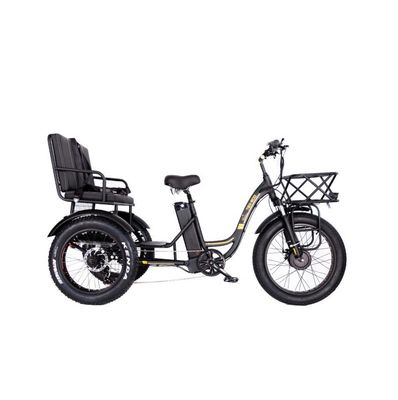 16.7 Ah Batterijcapaciteit 750 WAT ZWARDE RICKSHAW ELECTRICHE TRICYCLE voor Passagiers