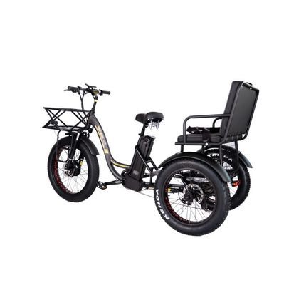16.7 Ah Batterijcapaciteit 750 WAT ZWARDE RICKSHAW ELECTRICHE TRICYCLE voor Passagiers