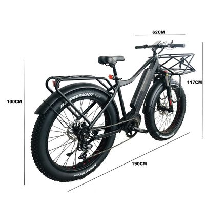 48V 1000W 17AH 50KM/H USA OEM Customized Fat Tire Elektrische bergfiets voor vracht