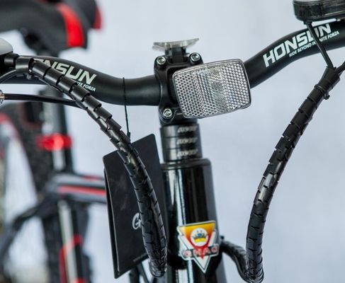 26&quot; wielgrootte 250W 8.8AH Lithiumbattery Elektrische bergfiets met verborgen batterij