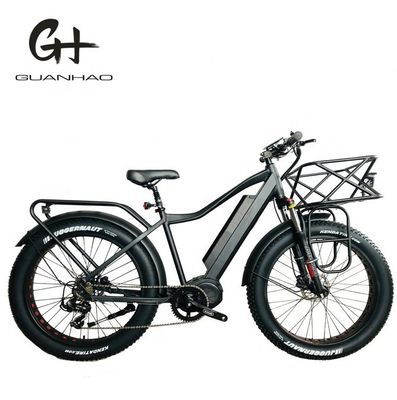 18 inch volwassen Unisex Chopper elektrische scooter met achterste hub motor en single speed