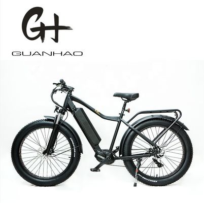 26x4.0 inch Mountain Electric Fat Tire Bike met 1000W Diver Motor en Front Carrier