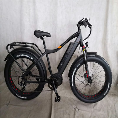 26x4.0 inch Mountain Electric Fat Tire Bike met 1000W Diver Motor en Front Carrier