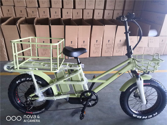 1000W 48V 34A Opvouwbaar frame Elektrische vrachtfiets met 20 inch dikke banden en achterste drager