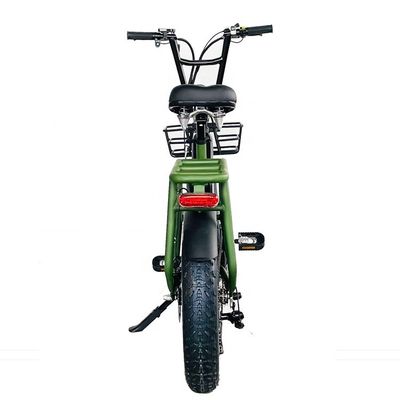 20&quot; 48V 34AH Lithiumbatterij 1000W 50KM/H Aluminium Frame 7 snelheden Cargo Electric Dual Battery Hybrid Fat Snow Tire 4.0 Fiets