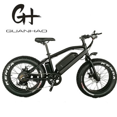 20&quot; Aluminium Aluminium Frame Boy Mini 48V 4.0 USA CE 750W Kid Mountain Electric Bike