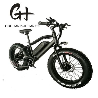 20&quot; Aluminium Aluminium Frame Boy Mini 48V 4.0 USA CE 750W Kid Mountain Electric Bike