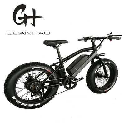 20&quot; Aluminium Aluminium Frame Boy Mini 48V 4.0 USA CE 750W Kid Mountain Electric Bike