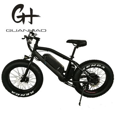 20&quot; Aluminium Aluminium Frame Boy Mini 48V 4.0 USA CE 750W Kid Mountain Electric Bike
