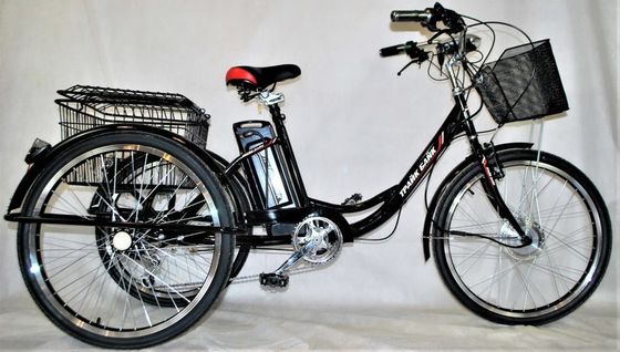 24&quot; Achterhoek Motor Staal Frame 7speeds 36V350W 35KM/H Unisex Electric Tricycles voor volwassenen