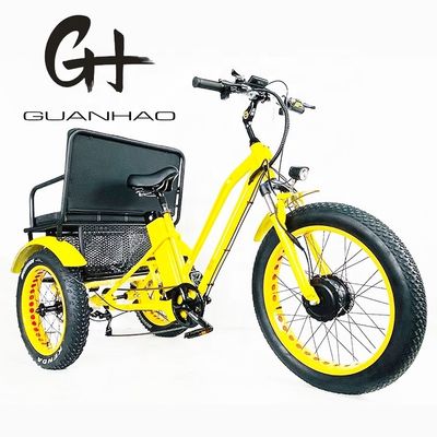 US Fat Tire Elektrische driewieler met 1000W Bafang motor en aluminium pedaal