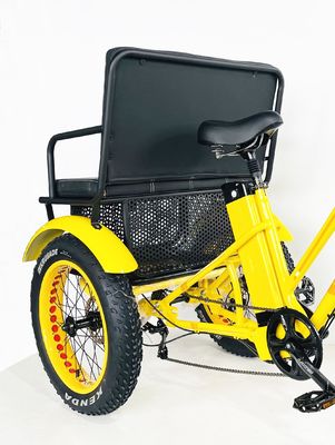US Fat Tire Elektrische driewieler met 1000W Bafang motor en aluminium pedaal
