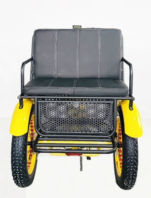 US Fat Tire Elektrische driewieler met 1000W Bafang motor en aluminium pedaal