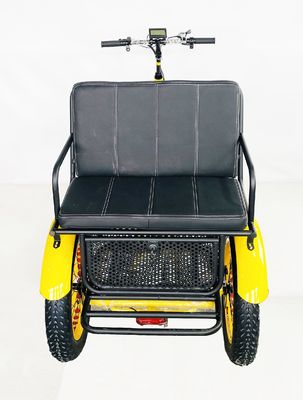 US Fat Tire Elektrische driewieler met 1000W Bafang motor en aluminium pedaal
