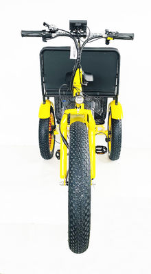 24-inch Snow Fat Tire 4.0 Electric Rickshaw driewieler met 48V 750W motor en achterbank