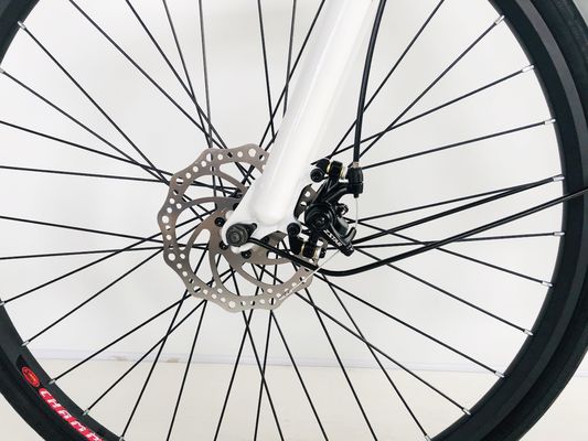 28 inch City Bike 36V250W Lithiumbatterij 14AH EN15194 EN15194 voor vrouwen Lady USA Europa