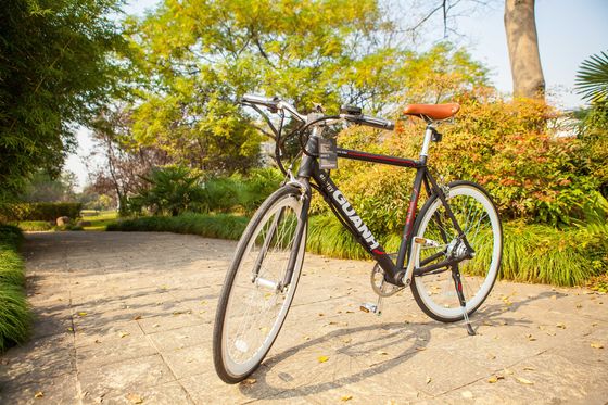 700C Aluminium Elektrische Fiets CE EN15194 Gecertificeerd 36V 350W Motor 10,8AH Verborgen Lithiumbatterie