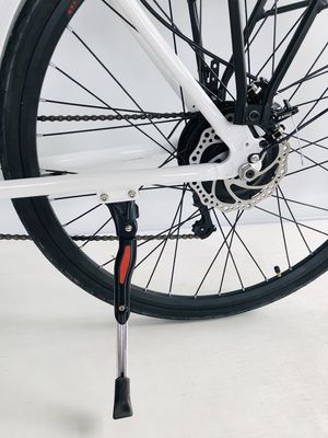 USA USD390 500W 48V 14AH Elektrische damesfiets met 7 versnellingen en LCD-display