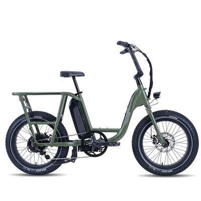 48V 1000W 32MPH Electric Hybrid Cargo Bike met 20&quot;4.0 Fat Tire en koppel van 80-90 Nm
