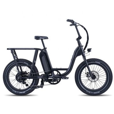 48V 1000W 32MPH Electric Hybrid Cargo Bike met 20&quot;4.0 Fat Tire en koppel van 80-90 Nm