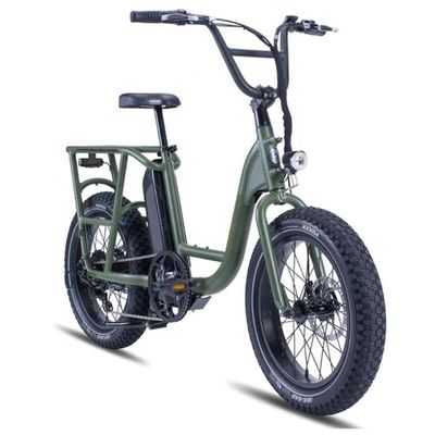 48V 1000W 32MPH Electric Hybrid Cargo Bike met 20&quot;4.0 Fat Tire en koppel van 80-90 Nm