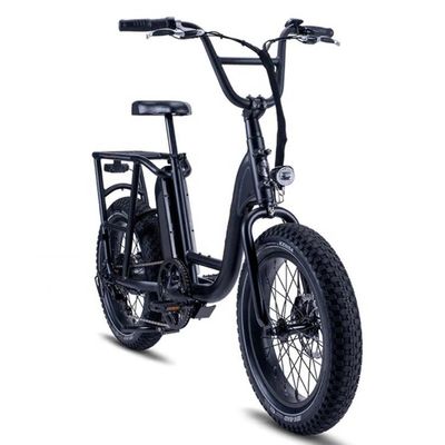 48V 1000W 32MPH Electric Hybrid Cargo Bike met 20&quot;4.0 Fat Tire en koppel van 80-90 Nm