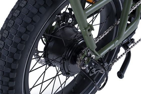 48V 1000W 32MPH Electric Hybrid Cargo Bike met 20&quot;4.0 Fat Tire en koppel van 80-90 Nm