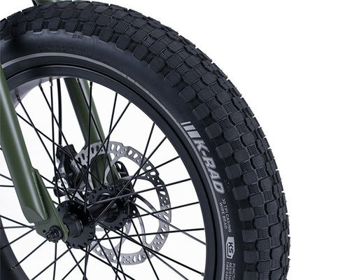 48V 1000W 32MPH Electric Hybrid Cargo Bike met 20&quot;4.0 Fat Tire en koppel van 80-90 Nm