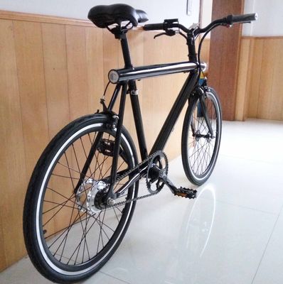CE-gecertificeerde 20 inch 350W elektrische stadsfiets met verborgen batterij en OEM-kleurlogo