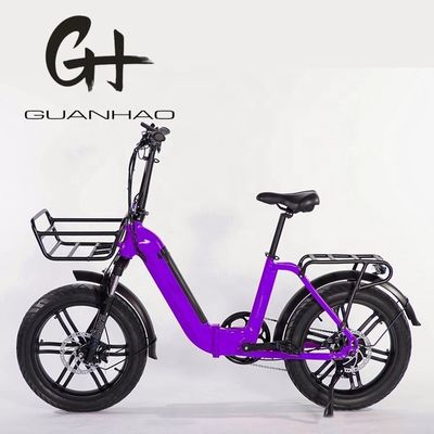 750W Magwheel Motor Door Aluminium vouw frame Suspension Fork Elektrische vouwfiets