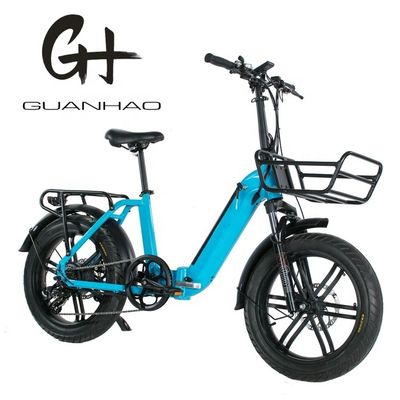 750W Magwheel Motor Door Aluminium vouw frame Suspension Fork Elektrische vouwfiets