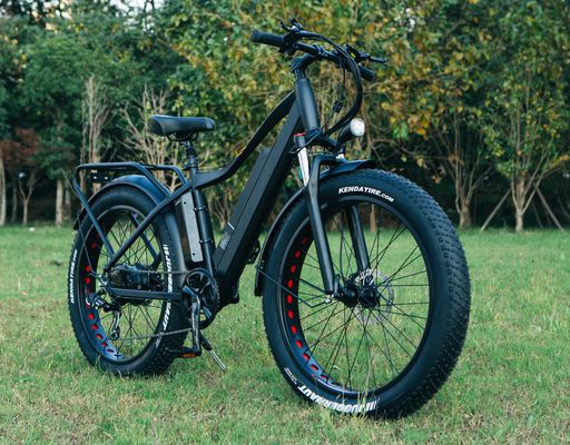 Beste 1000W elektrische vetband fiets 26&quot; elektrische fiets met 17Ah batterij