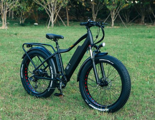 Beste 1000W elektrische vetband fiets 26&quot; elektrische fiets met 17Ah batterij