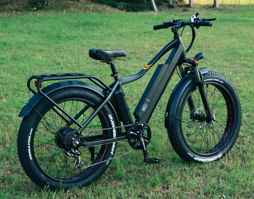 Beste 1000W elektrische vetband fiets 26&quot; elektrische fiets met 17Ah batterij