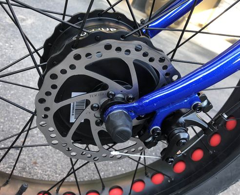 Rem Tektro Disc Brakset 24 inch Fat Tire Volwassenen 3Wheel 48V1000W Elektrische Cargo Bike