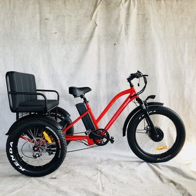 VS-markt BAFANG Sensor Elektrische driewielers met drie wielen en hydraulische schijfrem