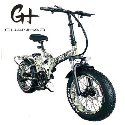20 inch elektrische sneeuwband fiets met 750W achterhoek motor en 48V30AH lithiumbatterie