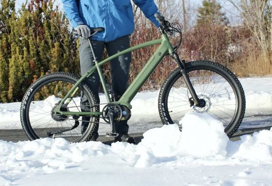 36V 350W EN15194 2007 Elektrische fiets met één snelheid met 10,41AH lithiumbatterie en PAS