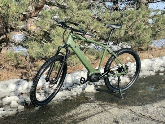36V 350W EN15194 2007 Elektrische fiets met één snelheid met 10,41AH lithiumbatterie en PAS