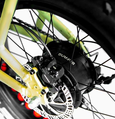 Aluminium frame 48V34AH 1000W Fat tire ebike met dubbele batterijen en twee manden