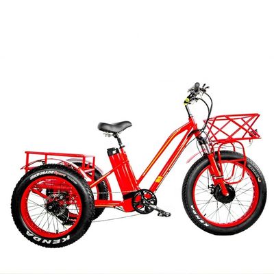 48V 750W voormotor 24&quot; volwassen elektrische driewieler met 17AH lithiumbatterie en dikke sneeuwbanden