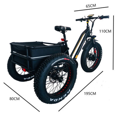 48V 750W voormotor 24&quot; volwassen elektrische driewieler met 17AH lithiumbatterie en dikke sneeuwbanden